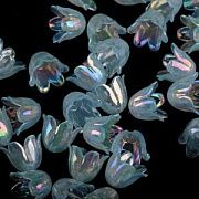 Бусина, акрил "Колокольчик", цвет св.голубой перламутровый, 11.5x10.5x8.5 мм